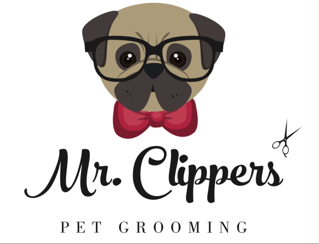 Mr Clippers