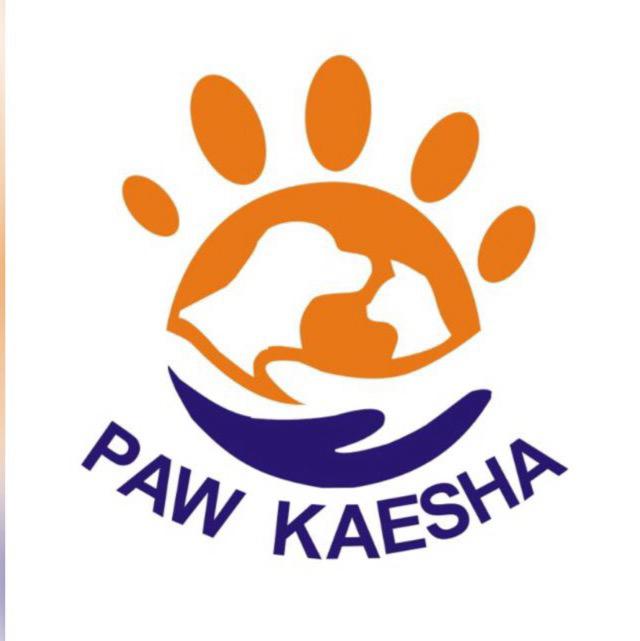 paw kaesha mobile grooming