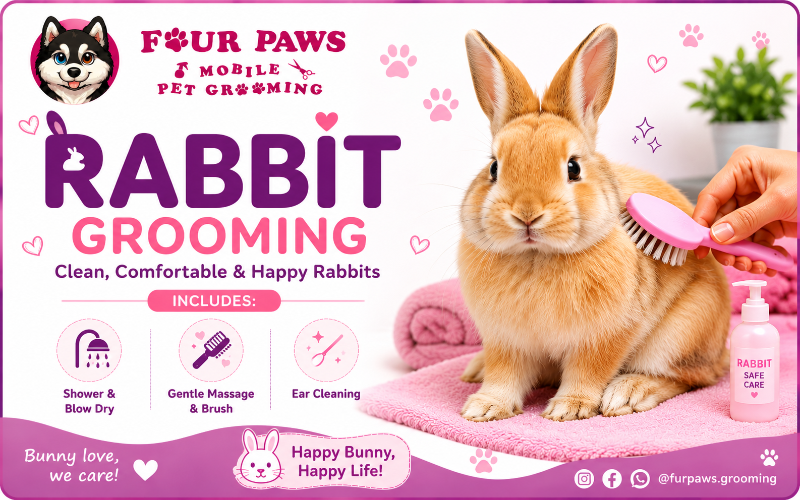 basic mobile grooming | rabbit