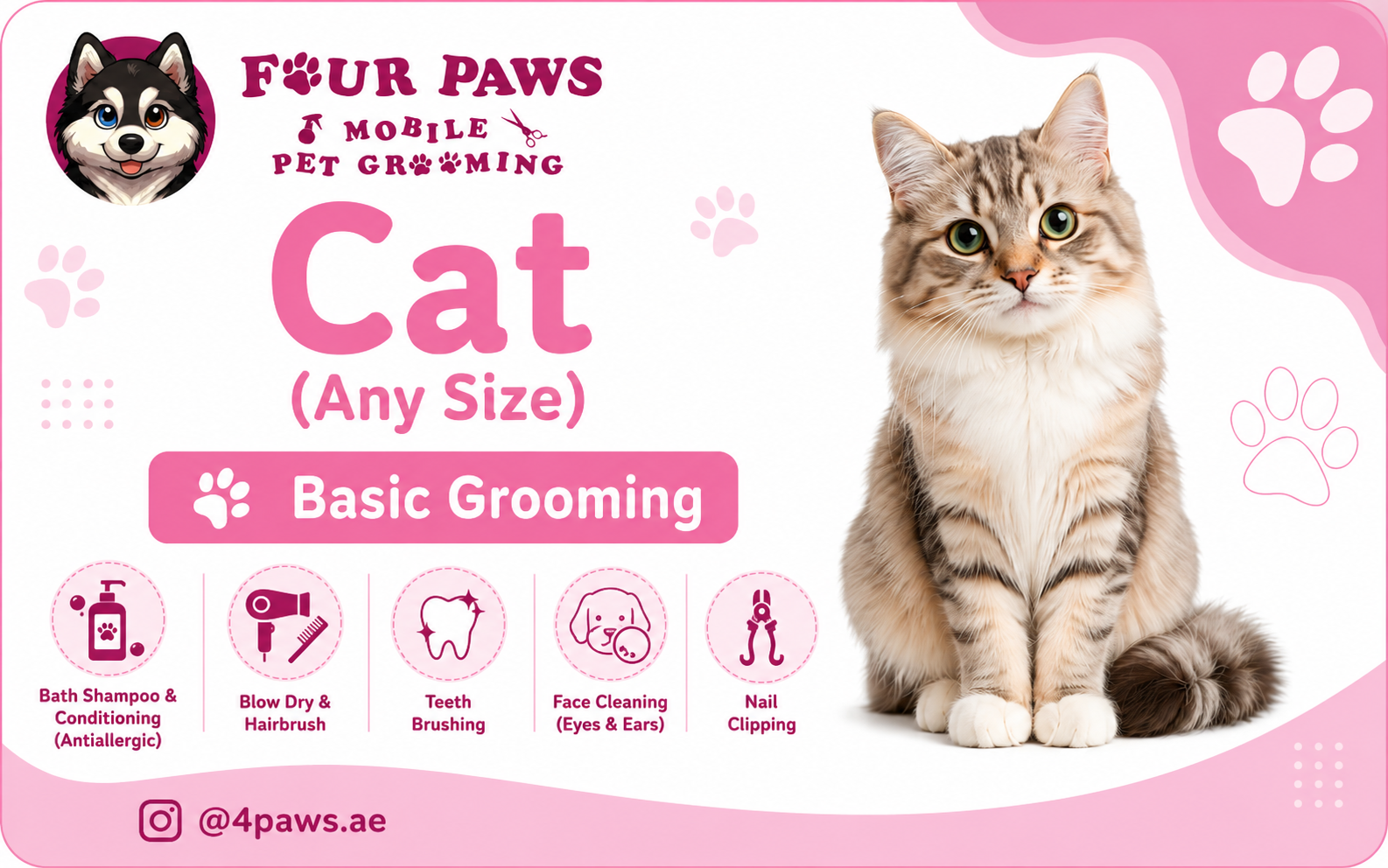basic mobile grooming | cat (without haircut/shave)