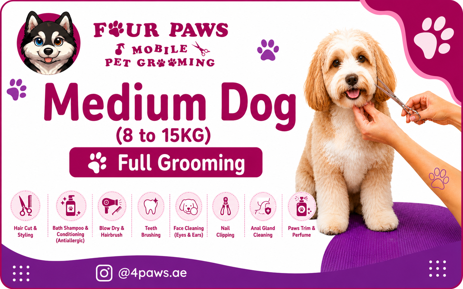 full mobile grooming | medium dog (includes haircut/shave)