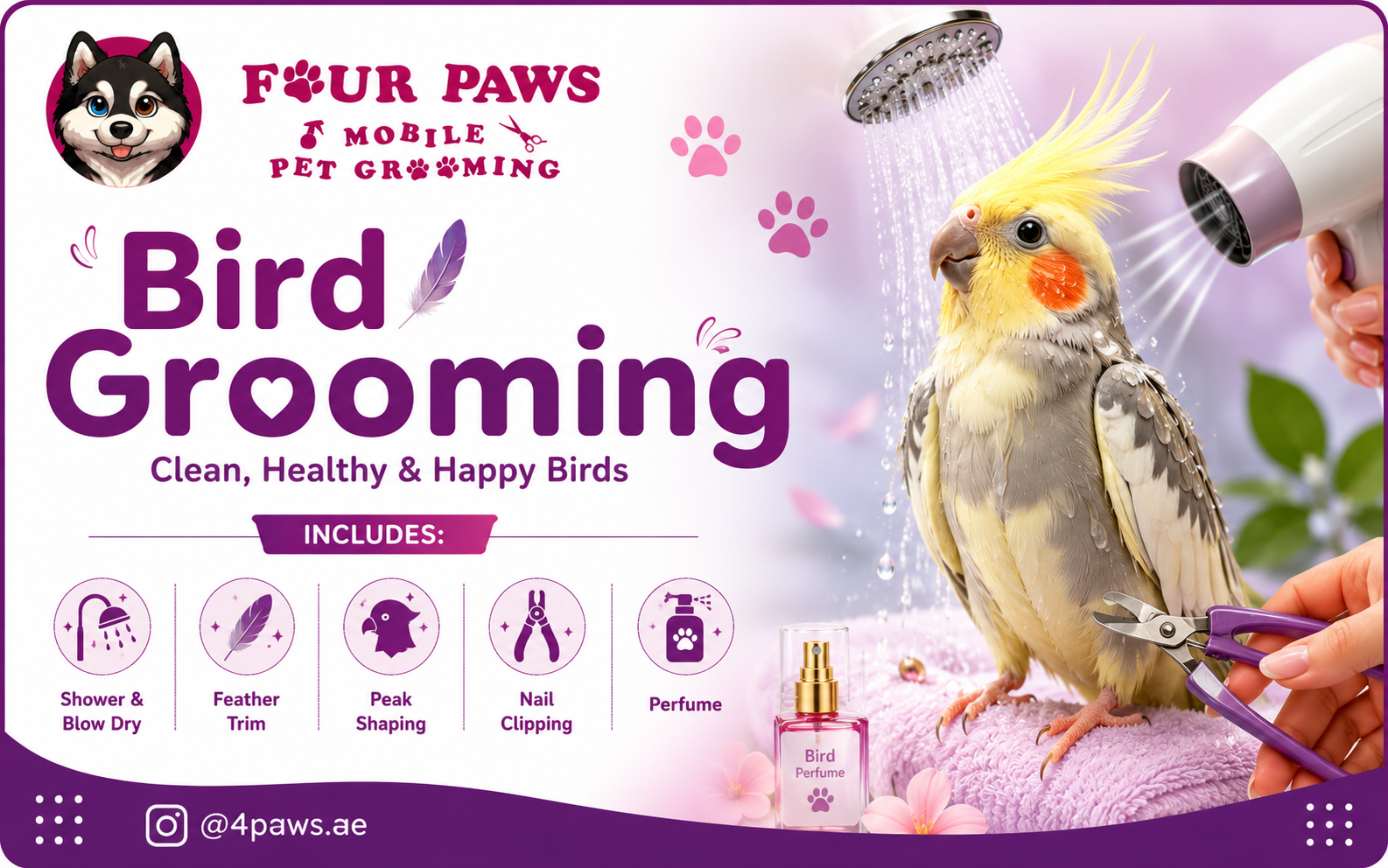 full mobile grooming | birds (all sizes)
