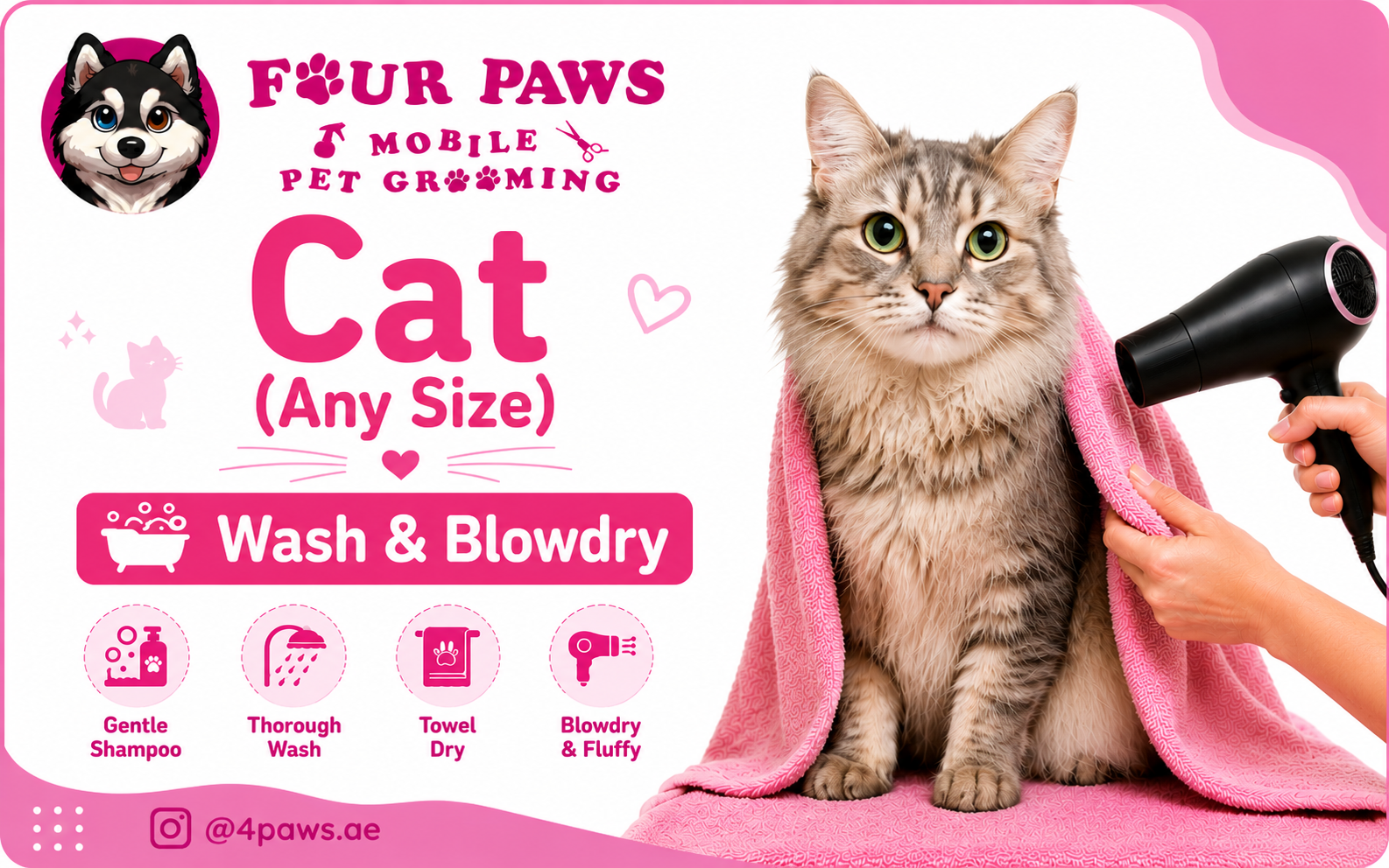 Wash & Blowdry | Cat