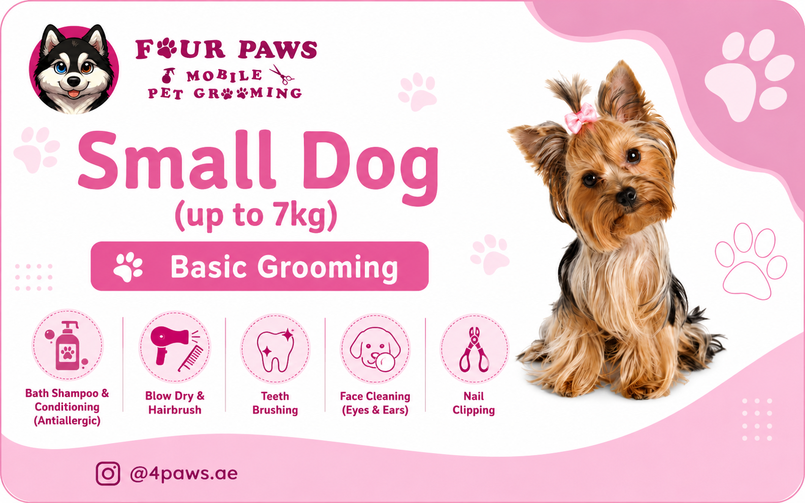 Basic Mobile Grooming | small dog (without haircut/shave)