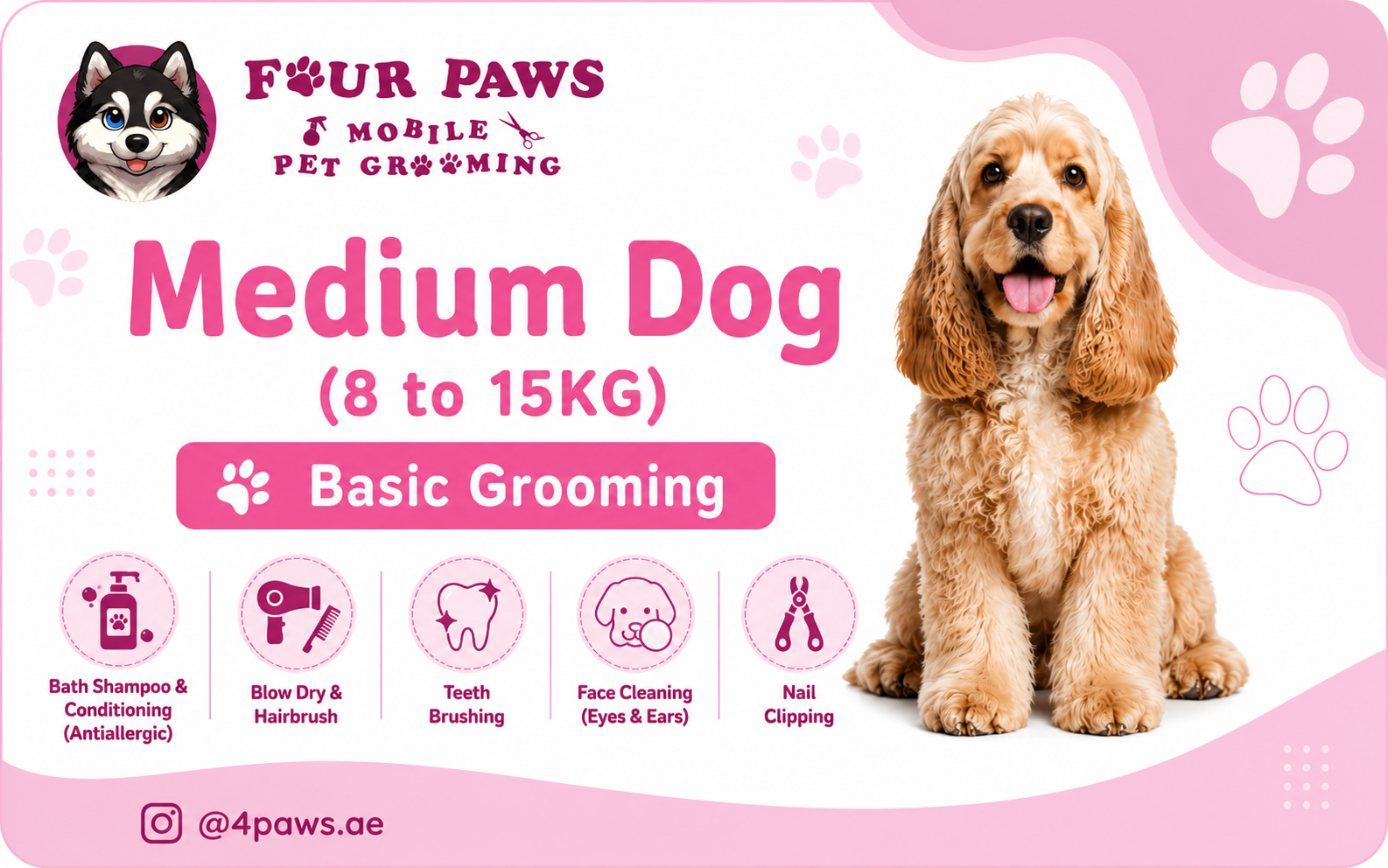 basic mobile grooming | medium dog (without haircut/shave)
