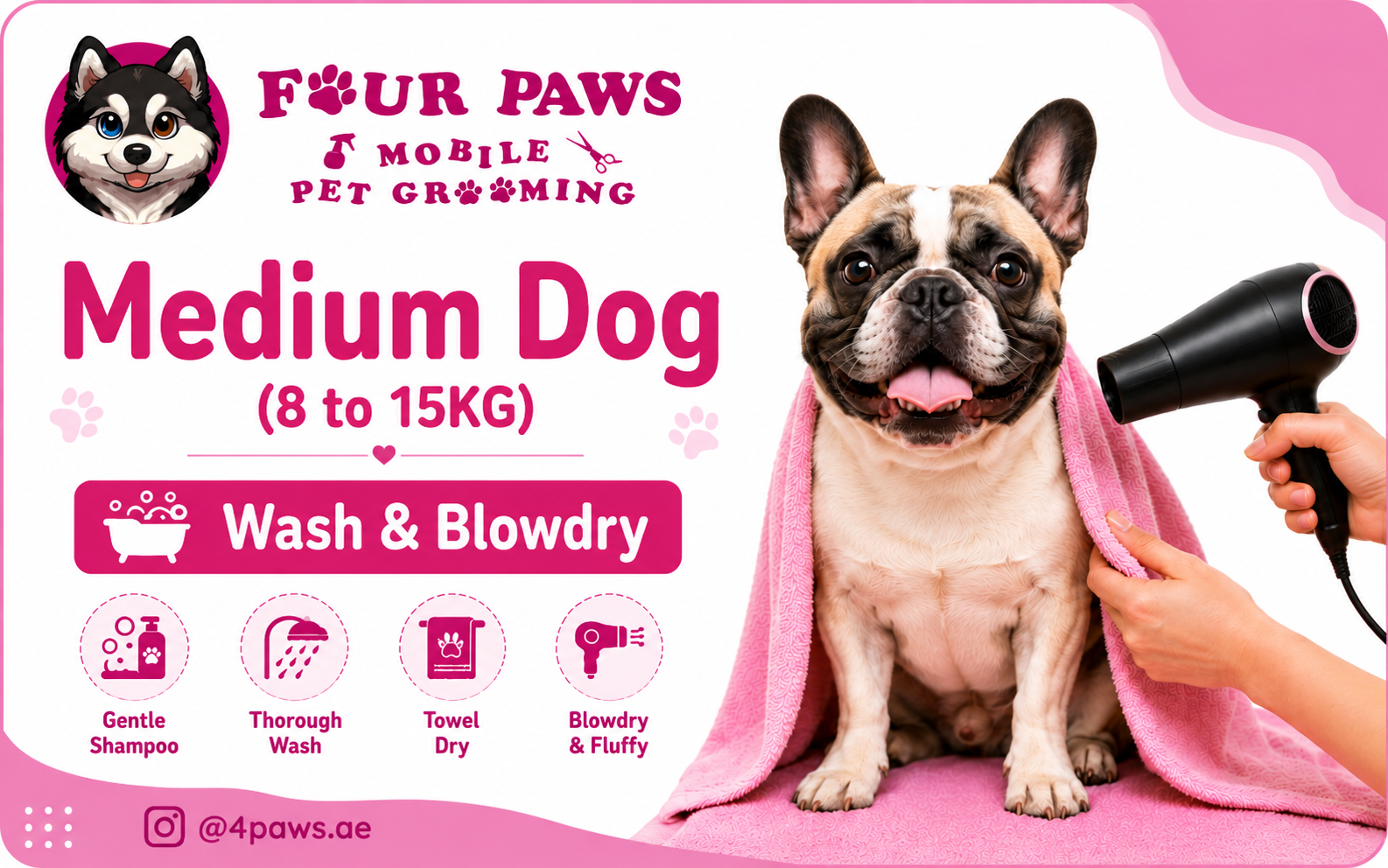 Wash & Blowdry | Medium Dog