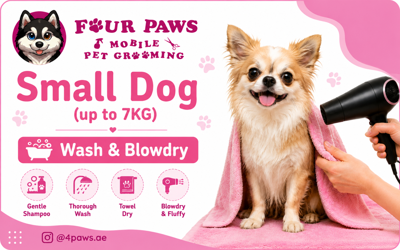 Wash & Blowdry | Small Dog
