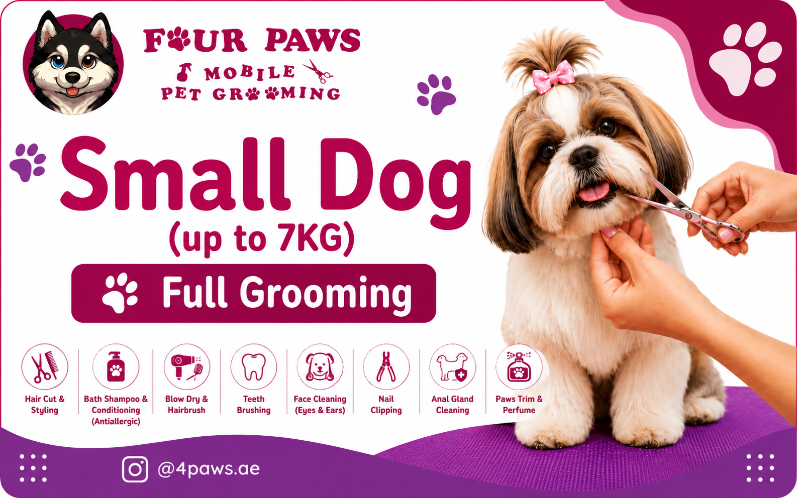 full mobile grooming | small dog (includes haircut/shave)