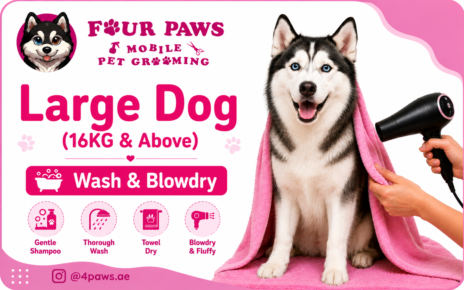 Wash & Blowdry | Large Dog