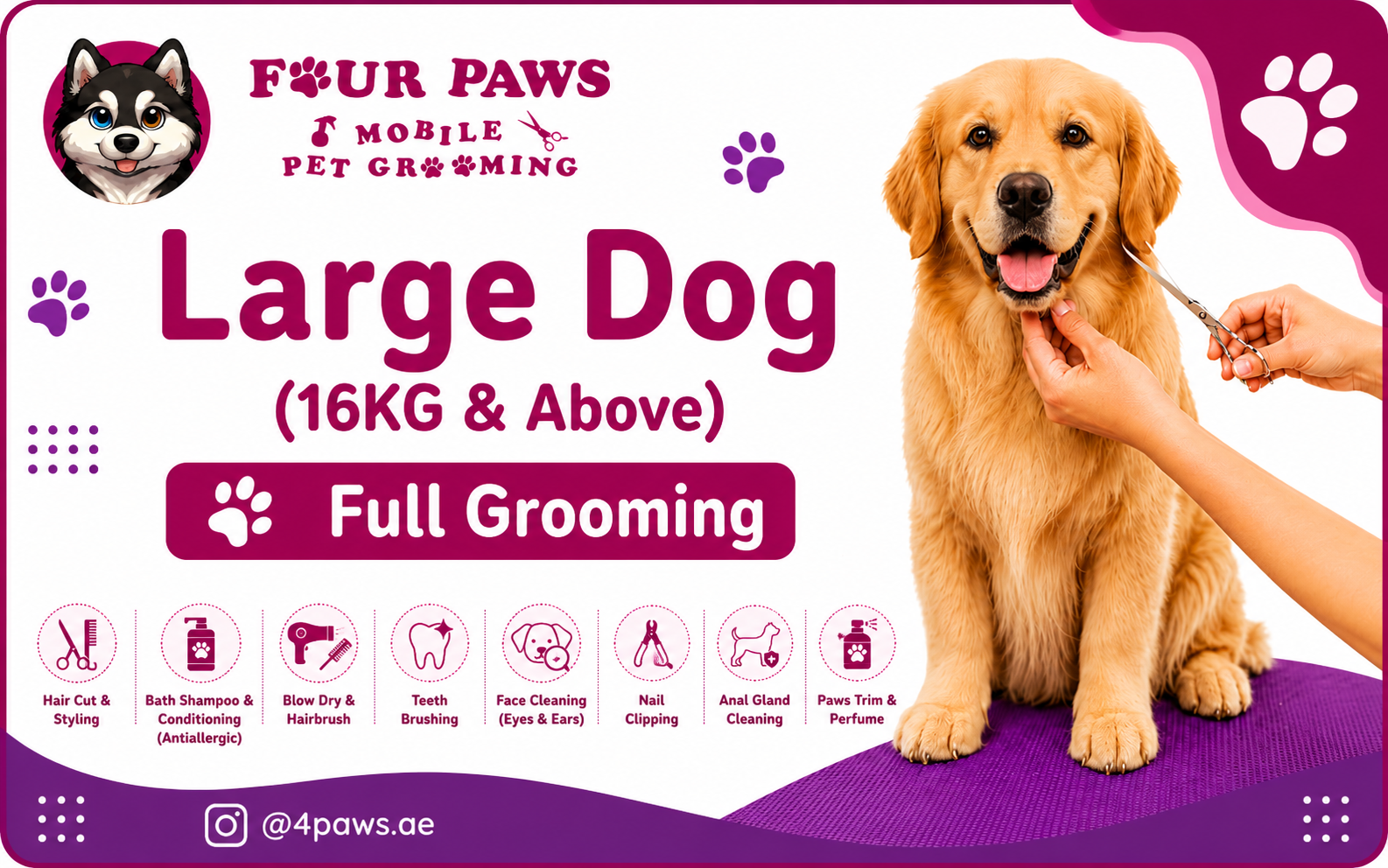 full mobile grooming | large dog (includes haircut/shave)