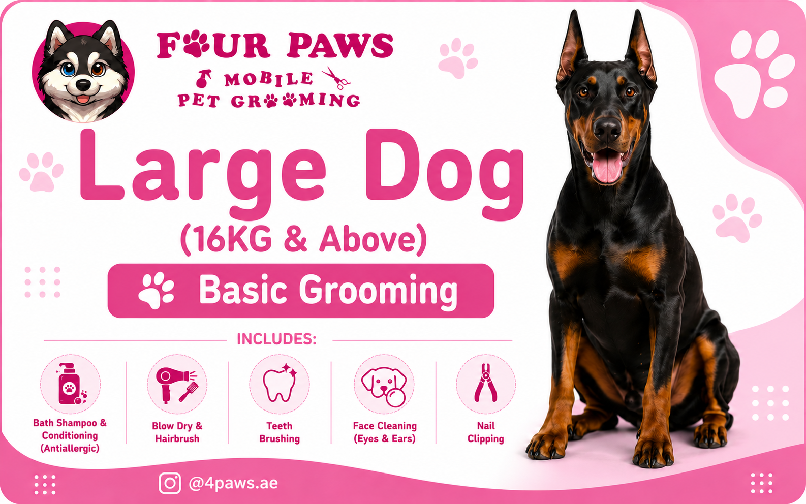 basic mobile grooming | large dog (without haircut/shave)