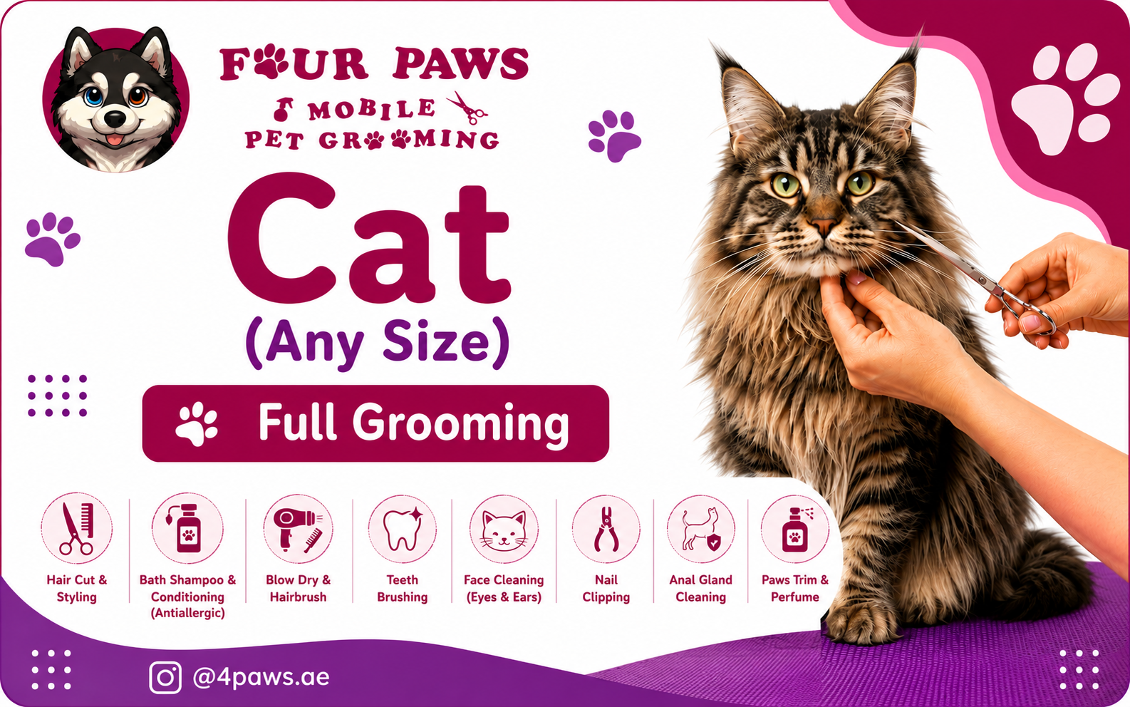 full mobile grooming | cat (includes haircut/shave)