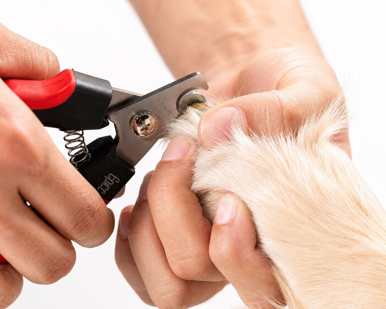 Nail Clipping